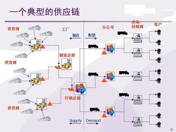 典型完整的供应链